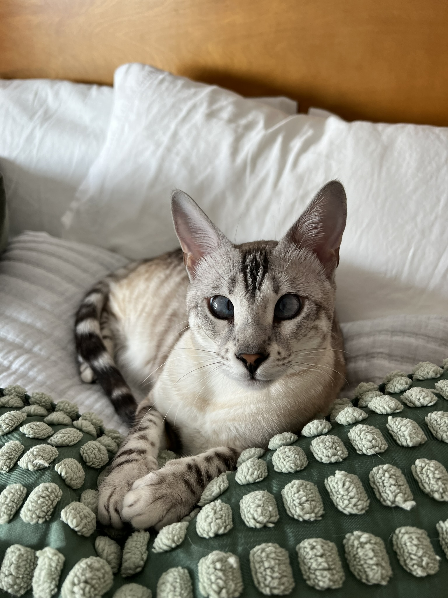 Kida